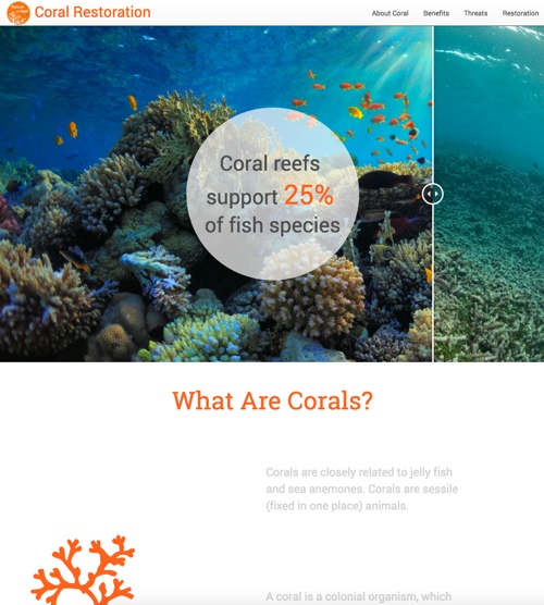 coral-website