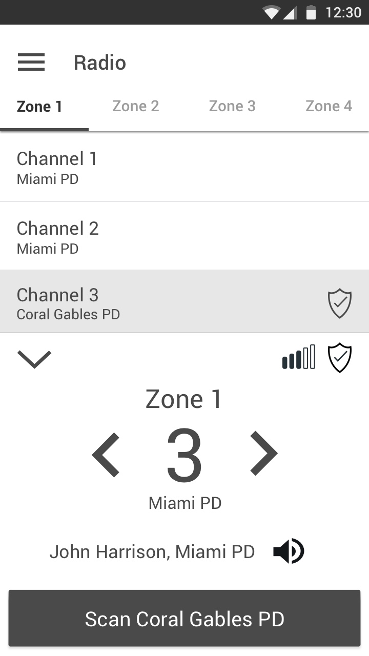 BlueLine Digital Wireframe of the Radio Details Page