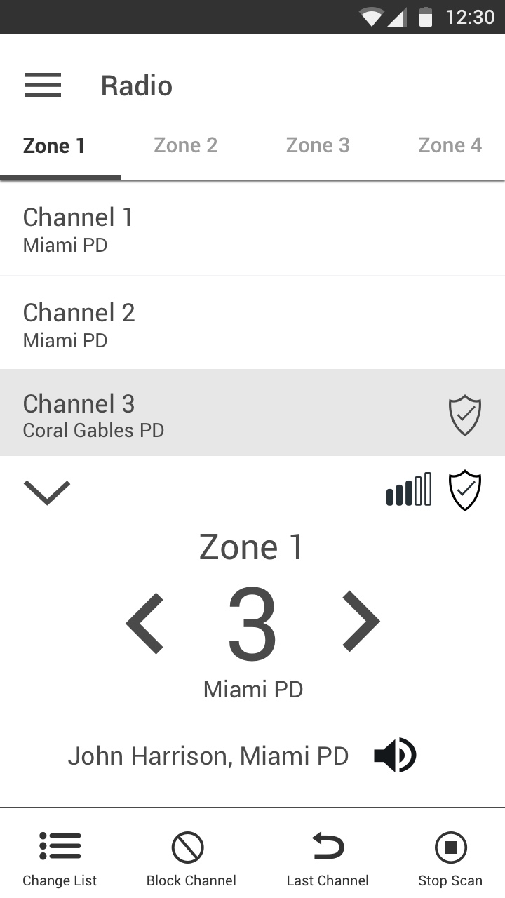 BlueLine Digital Wireframe of the Scan Details Page